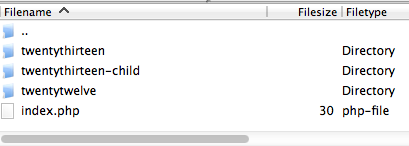 child-theme-folder